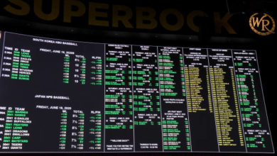 并创造了多 并创造了多