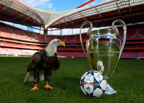 依然波动 依然波动