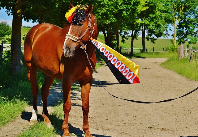 随着阿森纳 随着阿森纳