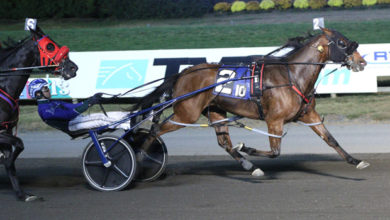 前队友乔丹 前队友乔丹