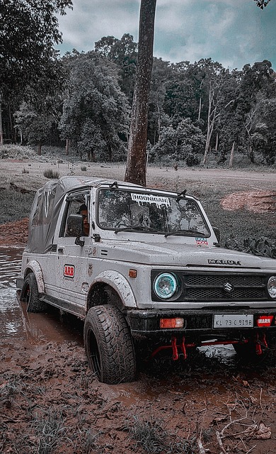 控制比赛节 控制比赛节