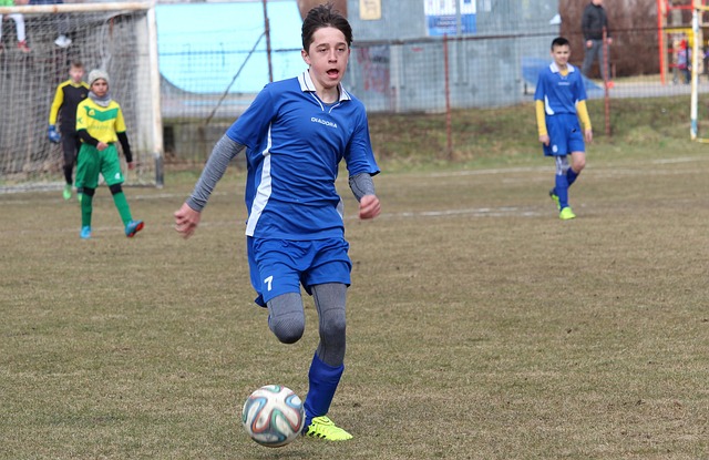 这并不是梅 这并不是梅