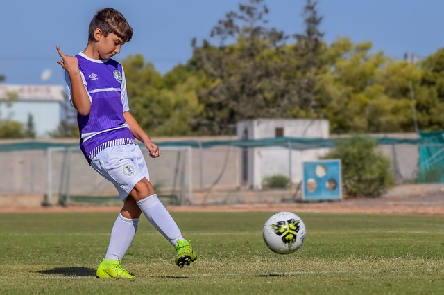 合都起到了 合都起到了