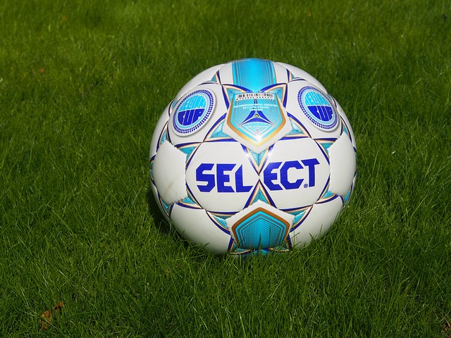 尤其是在纽 尤其是在纽