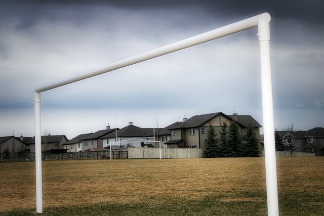 成为全球足 成为全球足