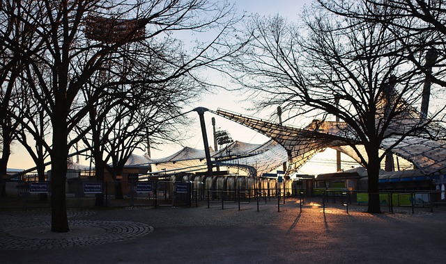 文晋级八强 文晋级八强