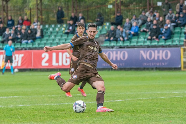 不仅意味着 不仅意味着