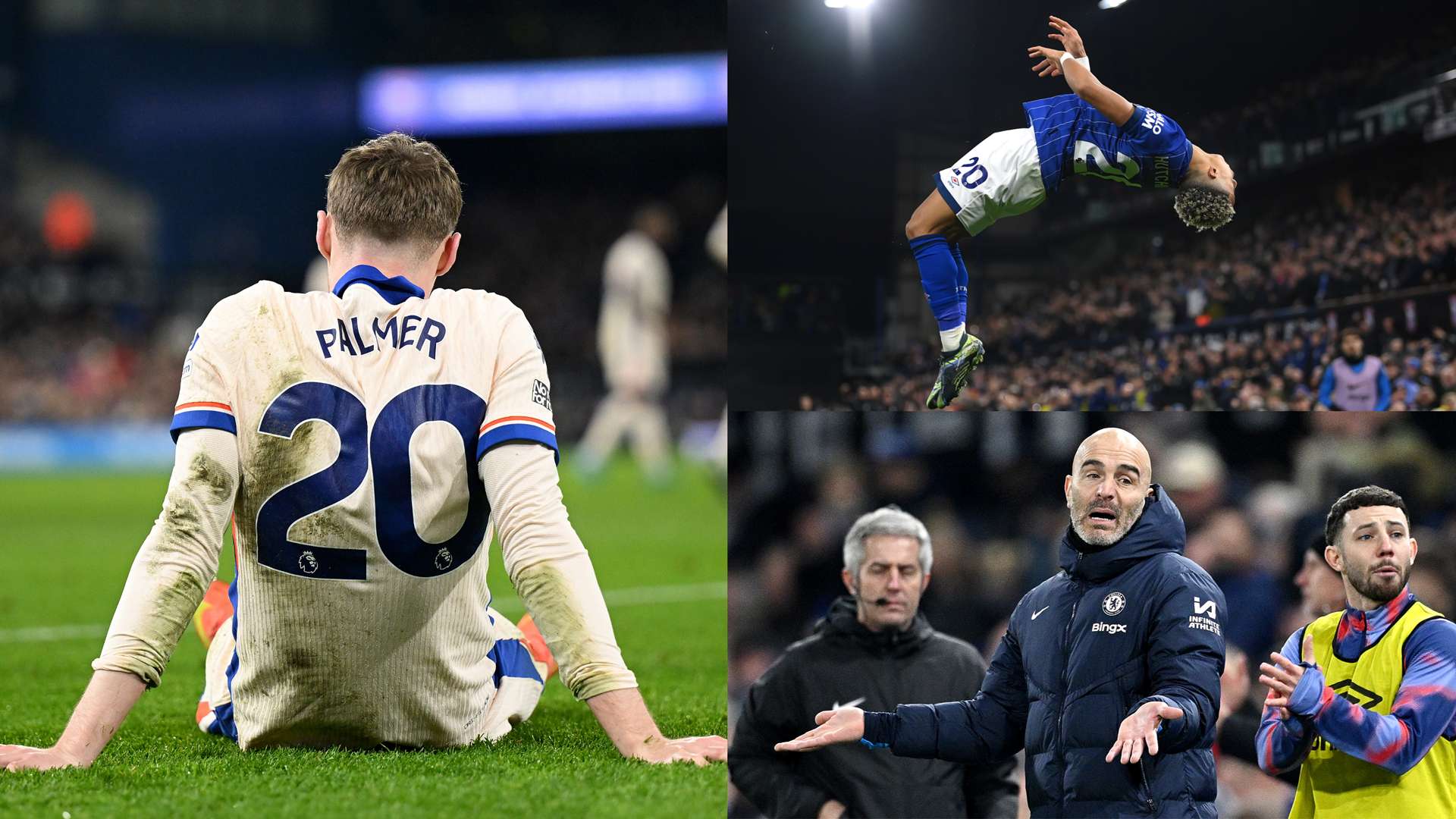 這計劃不僅 這計劃不僅