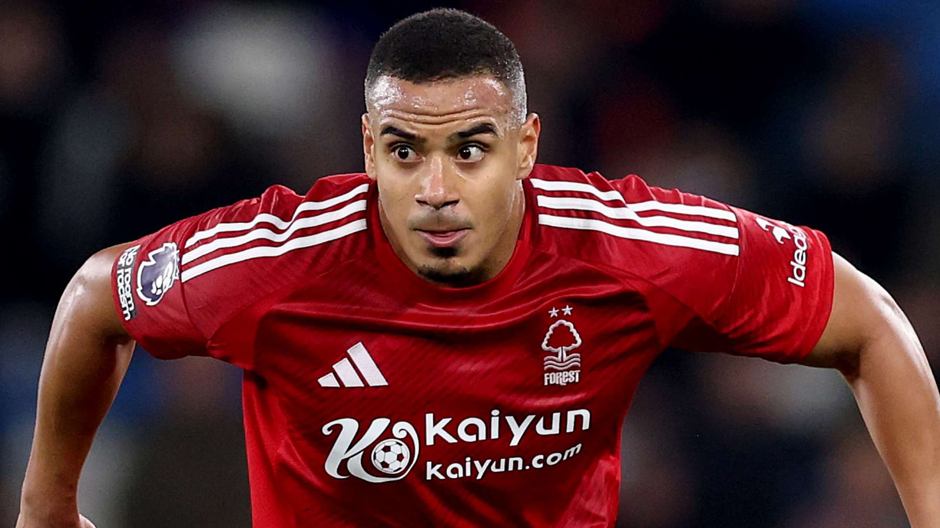 的重要作用 的重要作用