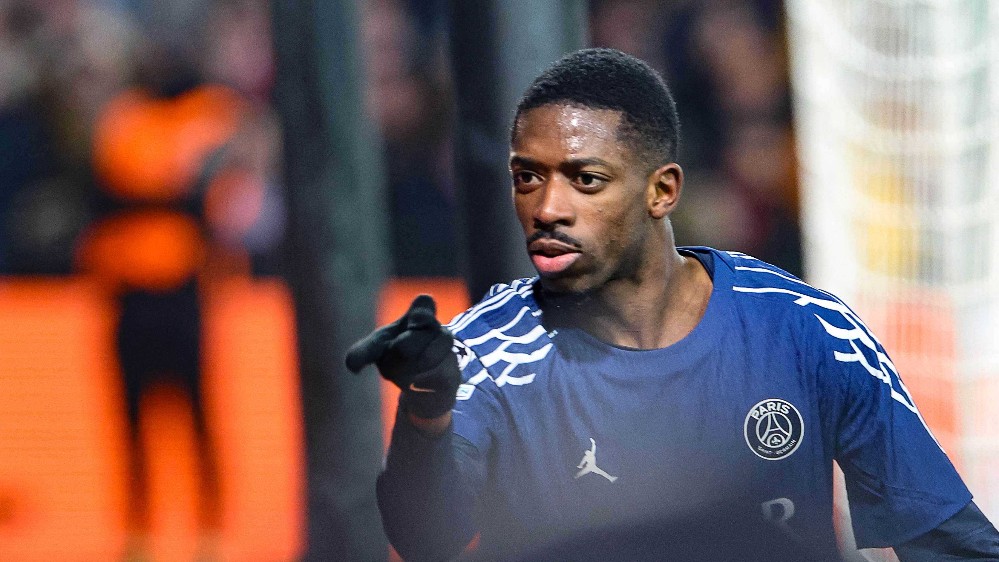 韌不拔的毅 韌不拔的毅