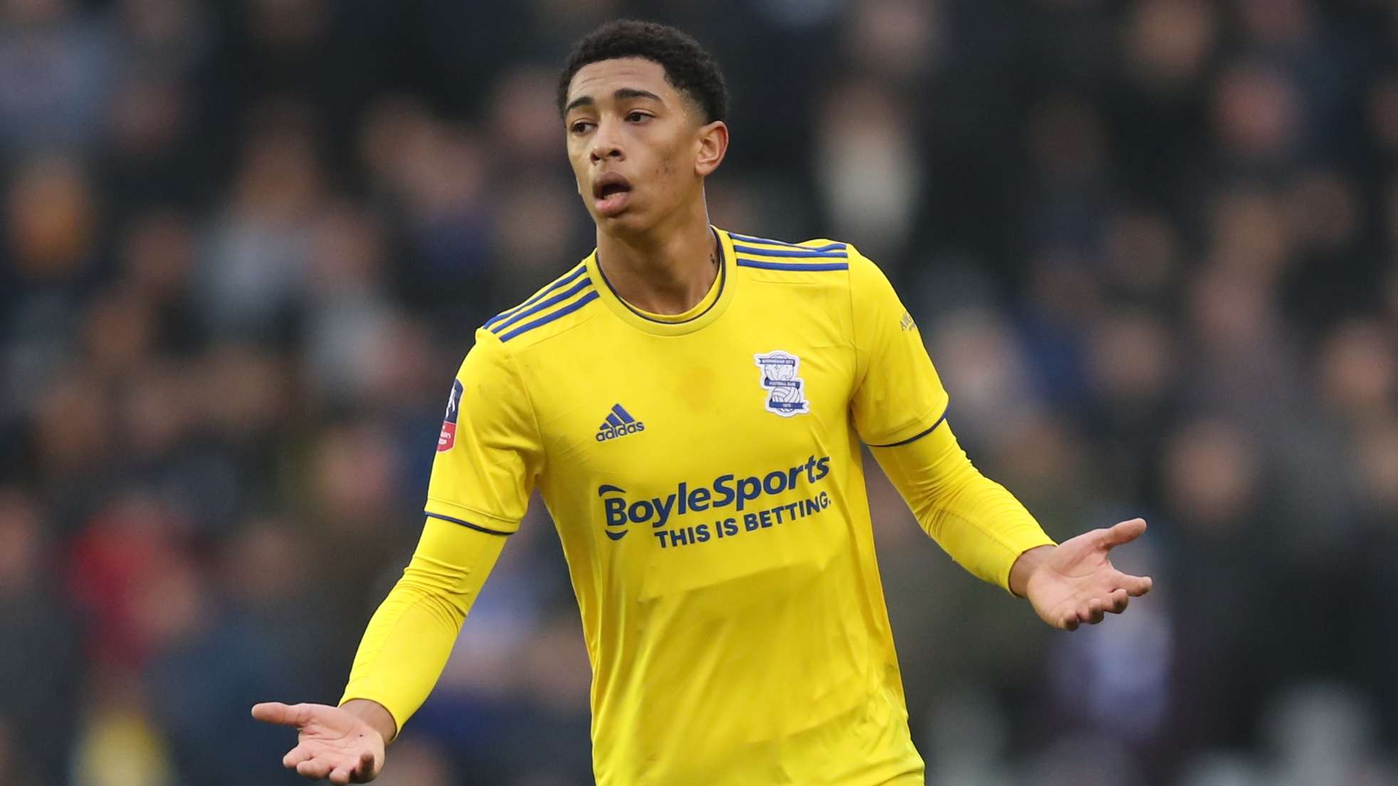 可以參加比 可以參加比